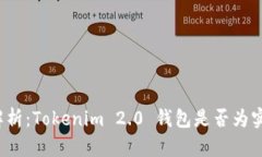 深入解析：Tokenim 2.0 钱包是否为实名制